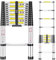 Stainless Steel Telescopic Ladder, 3.8M High-Strength, Non-Slip Feet, Portable & Extendable for Roof, Attic, Caravans