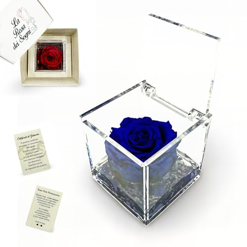 La Rosa dei Sogni Rosa Stabilizzata Profumata con Petali in gel in Cubo Trasparente - Confezione Regalo Elegante - Durata 5-7 anni - Made in Italy - 5x5 cm (Blu)