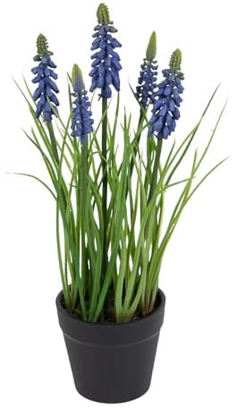 Seidenblumen Roß Traubenhyazinthe Hyazinte 28cm im Topf FI Kunstblumen Blumen Pflanzen künstliche Muscari (Blau-Lila)