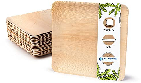 BIOZOYG 100x assiettes en feuille de palmier 23 x 23 cm - Assiettes jetables compostables et naturelles - Vaisselle de fête carrée