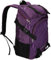 Betz Rucksack Damen Herren Reise und Wanderrucksack Camping SPORTS I 3 Taschen Volumen 27 Liter lila