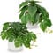 Lot de 2 plantes artificielles à suspendre dans un pot en céramique - Mini plante artificielle Philodendron Monstera - Décoration moderne pour la maison, le bureau, la salle de bain, la cuisine et la