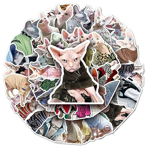 Sphynx-Aufkleber für Laptop, Auto, Scrapbooking, Telefon, Skateboard, Koffer, Gepäck, Fahrrad, Sphynx-Aufkleber, Vinyl, wasserdicht, ästhetisch, personalisierte Aufkleber für Teenager, Jungen,
