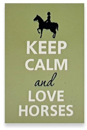 WitnyStore 3 High Green Keep Calm and Love Horses Fridge Magnet Rectangular Plastic Refrigerator Magnets Vintage Design Souvenirs Decorative Collectibles Gifts for Horse Lovers