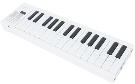 Ausla Portable Foldable Piano Keyboard 61 Key Electric Music Keyboard with Recording and Playback Function for All Musicians, Beginners, Students, Professionals, Full Size