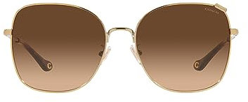 Sunglasses Coach HC 7133 900574 Shiny Light Gold