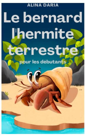 Le bernard l'hermite terrestre pour les débutants