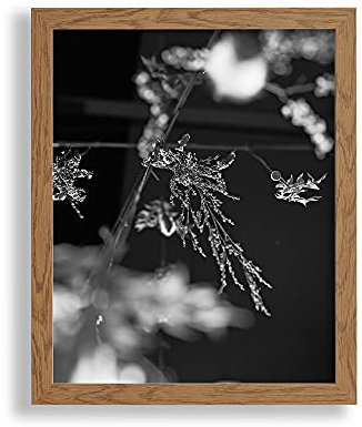 VO design Premium Bilderrahmen Finn 25 x 31 cm Eiche Rustikal Optik mit klarem Kunstglas - Farbe und Größe frei wählbar