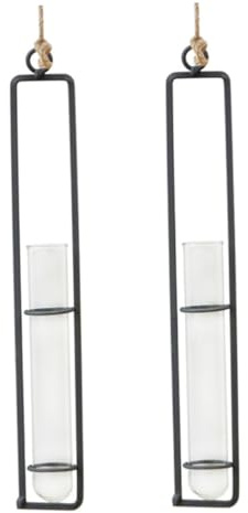 BESTonZON 2 Stück Hängende Glaspflanzgefäße mit Eisenrahmen für Blumen