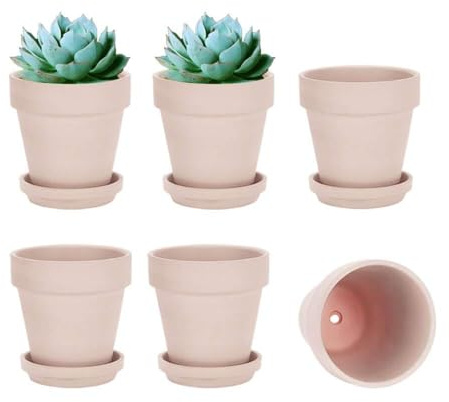 Lot de 6 pots en argile rose pour plantes avec soucoupe en terre cuite avec trou de drainage, pot de fleurs avec plateau, pot en terre cuite pour intérieur et extérieur