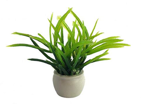 Melody Jane Dolls House Green Plant in White Pot Miniature Garden or Home Accessory 1:12