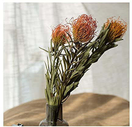 SY-Home Nadelkissen Getrocknete Blumen Blumenkunst Natürliche Trockenpflanzen Blumenstrauß Passend Zu Floralen Materialien Party Hochzeit Dekoration Blumen,Orange