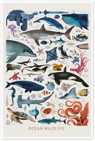 Meerestiere Poster von Dieter Braun 80 x 120 cm Blau Wandbilder Wanddeko