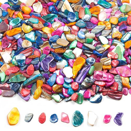 Cnwinu 500g Shells Mosaic Tiles,Irregular Mosaic Tiles Arts and Crafts,Mixed Color Mosaic Kit for Photo Frames,Flower Pots,Mirrors,Vases,Cups,Kitchen Home Decoration DIY Art Projects