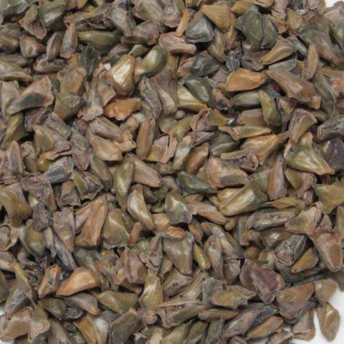 Koreanische Tanne Samen - Abies Koreana Blaue Kegel. 30 Samen D55