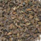 Koreanische Tanne Samen - Abies Koreana Blaue Kegel. 30 Samen D55