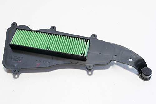 FILTRO ARIA DEPURATORE ORIGINALE LIBERTY IGET 4T 3V 50-125-150