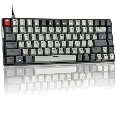 MageGee 75% Wired Gaming Keyboard with Red Switches and Ice Blue Backlit, Small Compact 75 Percent Mechanical, Portable Keyboard Gamer for PC, MAC