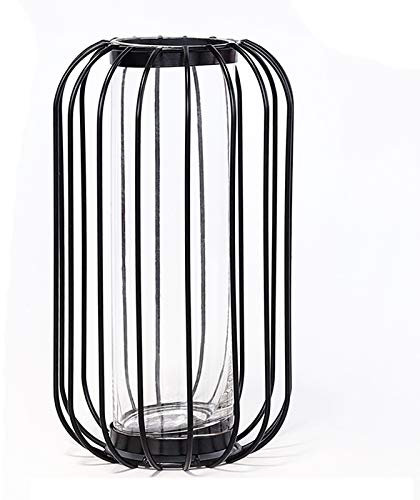 RESOYE Glas-Blumenvase mit Metallrahmen, 20 x 12 cm, schwarz, moderne Vase, hohle Metall-geometrische Vase, kreative Desktop-Vase für Zuhause, Hochzeit, Heimdekoration, 8.2x4.7 inch