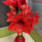 Amaryllis Zwiebel In Wachs - Gewachste Amaryllis Zwiebel - kleine geschenke blumenzwiebeln geschenke für gärtner mehrjährige blumen balkonpflanzen alte sorten zimmerpflanzen seltene 1pcs