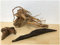 Catappa-Leaves.de Aquaristik Naturprodukte Import & Export - 3 Stück Aquarium Dekoration Natur Wurzel Spiderwood Driftwood Mangrove - Originalabbildung Set B
