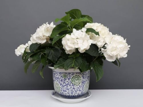 Yajutang China Porzellan Blumentopf Blau-Weiß mit grünen Blumen Ø 24cm