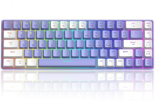 60% mechanische Mini-Tastatur, kompakt 68 Tasten, USB C, kabelgebunden, RGB-Tastatur, 18 Chroma Rainbow Hintergrundbeleuchtung, tragbar, kompatibel mit PS4, Xbox, PC, Laptop – Violett/Blau Schalter
