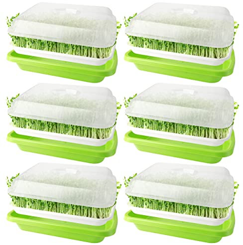 nuyikaso 6 Pack Seed Sprouter Trays with Lids Seedling Germination 33.5 x 23.5cm Large Capacity BPA Free Greenhouse with 24Pcs Planting Papers for Mung Beans Alfalfa Wheat Grass Garden