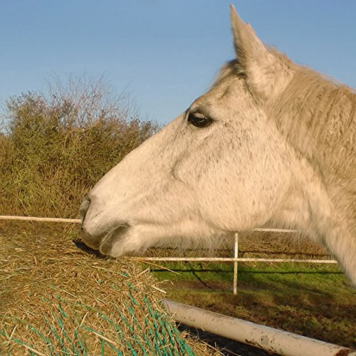DONET Heunetz Futternetz 3,50 x 3,50 m, Maschenweite 45 mm engmaschig