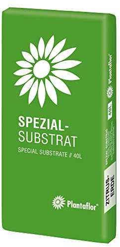 Plantaflor Spezial Substrat Zitruserde Mediterranpflanzenerde (40 Liter (1x 40 Liter))