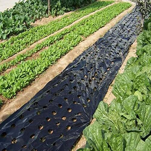 SunaOmni Film De Paillis De Légumes De Jardin 5 Trous Film De Paillis En Plastique Noir Film Végétal Agricole Film Plastique Végétal Film Pe Perforé Membrane De Paillis De Plantes De Jardin Intens