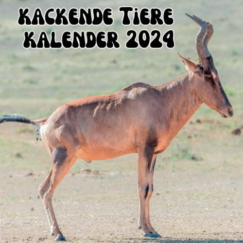 kackende Tiere kalender 2024: Kalender 2024 Lustiger Tiere | Lustige Geschenke für Männer, Frauen, Freunde, Kollegen, Kinder, Büro und Tiereliebhaber.