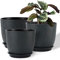 FORAGIFT Vasi per Piante da Interno di 25/23/20 cm - Set di 3 con Fori di Drenaggio e Sottovaso, Plastica Decorativa Moderna Verdi su Fondo Nero