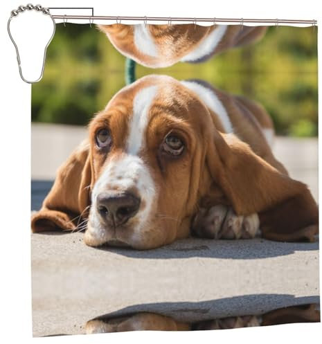 Esasam Basset Hound Print Shower Curtain 72x72in Stunning Shower Curtain - Vibrant Print Design