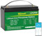 Mjbsan Batteria LiFePO4 12 V 160 Ah Deep Cycle con 150 A BMS, 4000 – 15000 cicli, max. 2048 Wh con taglio a bassa temperatura, perfetto ricambio per batterie al piombo per roulotte, campeggio, solari,