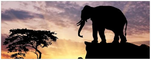 Wallario Küchenrückwand selbstklebend 115 x 50 cm, Motiv: Elefant vor Abendhimmel | Spritzschutz abwischbar & pflegeleicht