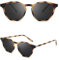 SIPHEW Sonnenbrille Herren Polarisiert Retro Vintage Rund Gläser Brille mit 400 UV Schutz Sunglasses for Sport Freizeit