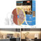 WOBANE Tira Led COB 2 Metros, Tiras Luces Led Blanco Natural 4000 K, Cinta Led con Fuente de Alimentación y Interruptor para Cocina Bajo Mueble,Habitacion,Gabinete