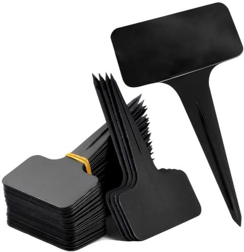 BHIPKOT 50 pezzi etichette per piante etichette per piante in plastica per l'etichettatura etichette a forma di T Etichette per semi da esterno Etichette per piante da giardinaggio