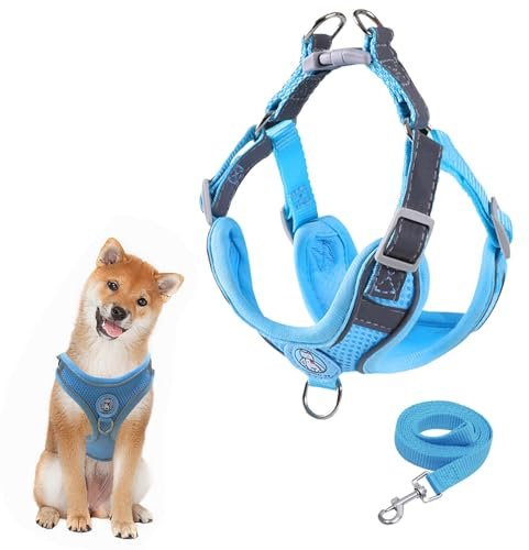 Hundegeschirr mit Hundeleine Set, Air-Mesh Atmungsaktiv Brustgeschirr für Kleine, Mittelgroße Hunde & Welpen, Weich Gepolstert Einstellbar Reflektierend Geschirr (Blau, XS)