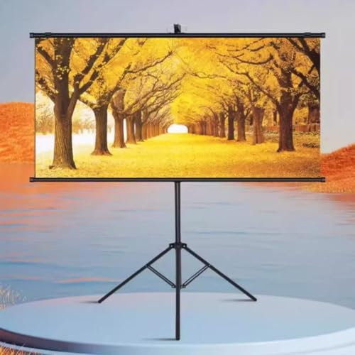 Pull Down Manual Projector Screen, Projector Movies Screens Wrinkle-Free Lightweight Wall/Ceiling Mounted, Perfect For Home Office Theater TV(60)