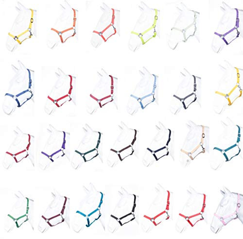 HKM by Reiterladen24 - Halfter BASICLINE neon grün Vollblut