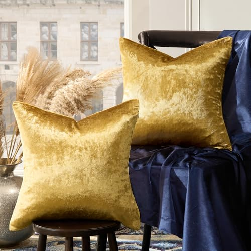 GIGIZAZA Lot de 2 Housses de Coussin décoratives en Velours doré pour canapé-lit