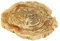 Oriental Galerie Fossil Platte Tischdekoration Geschirr Untersetzer Naturstein versteinertes Holz poliert Unikat 22-28 cm Hell