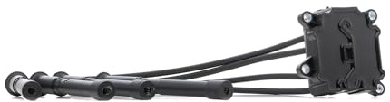 RIDEX 689C0073 Zündspule 12V Kompatibel mit RENAULT Clio 3 Schrägheck BR0/1, CR0/1 2246200Q0A 8200734204 8200360911