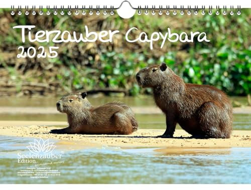 Tierzauber Capybara DIN A4 Kalender für 2025 Schwein Schweinchen - Seelenzauber
