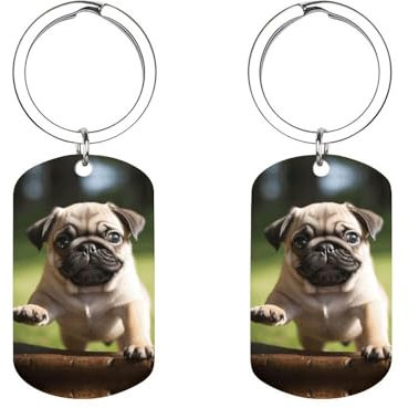 LPSBVNM Doppelseitiger Edelstahl-Schlüsselanhänger, Mops-Welpen, bedruckter Metall-Schlüsselanhänger, Zubehör, Unisex-Schlüsselanhänger für Zuhause, Autoschlüssel, Büro, Rucksack, Geldbörse, Charm,