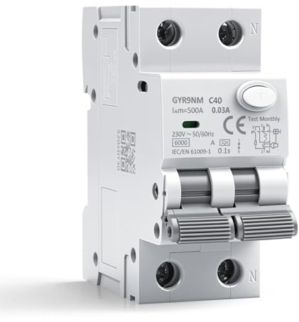 Interruttore magnetotermico differenziale 40A 30mA 1P+N tipo A Salvavita RCBO 6kA MCB AC230V interruttore differenziale Protezione contro dispersione sovraccarico e cortocircuito GYR9NM