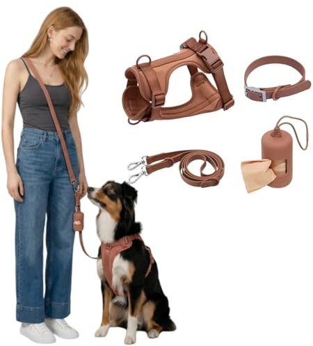 Welldog WalkKit 2.0, 4-in-1 Hundegeschirr Set Verstellbar No Pull Hundegeschirr mit Hundeleine Halsband Kotbeutelspender Atmungsaktiv Ergonomisch für kleine mittlere große Hunde