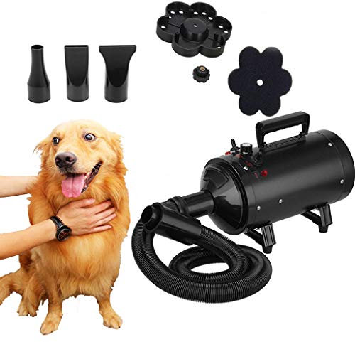 ZanGe 2800W Variable Speed Pet Grooming Hair Dryer High Velocity Dog Cat Hairdryer, Motorcycle Power Dryer, Portable Car Dryer, Bike Dryer Blower,Vehicle Dryer, Two in One,Convenient for use